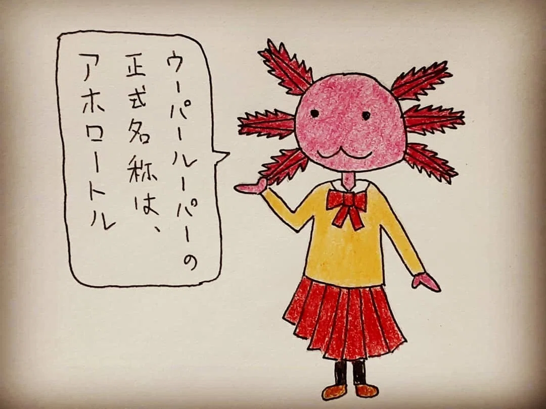 雑学1コマ漫画 ウーパールーパーの正式名称 サバエモン Note 雑学1コマ漫画 ウーパールーパーの正式名称 サバエモン Note