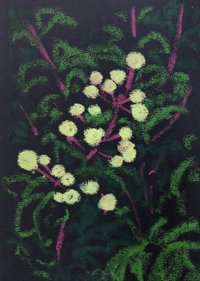 Google翻訳で英語の発音練習をする その時 ゆっくり話したほうがちゃんと聞き取ってくれる 自信なくても焦ったらいかんぞな こみゆら Note