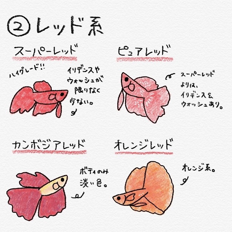 ベタの色の名前をイラストでまとめてみました 単色編 Miki Note