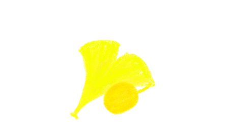 いちょうの葉っぱと銀杏の実 笹団子 Note いちょうの葉っぱと銀杏の実 笹団子 Note