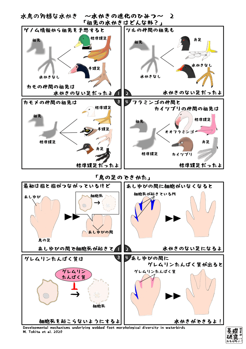 Piiyp91dtp O7m