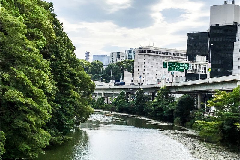 皇居周辺の風景は独特だ。東京中が緑に覆われたらどんなにいいだろう。そんなことを考えている。