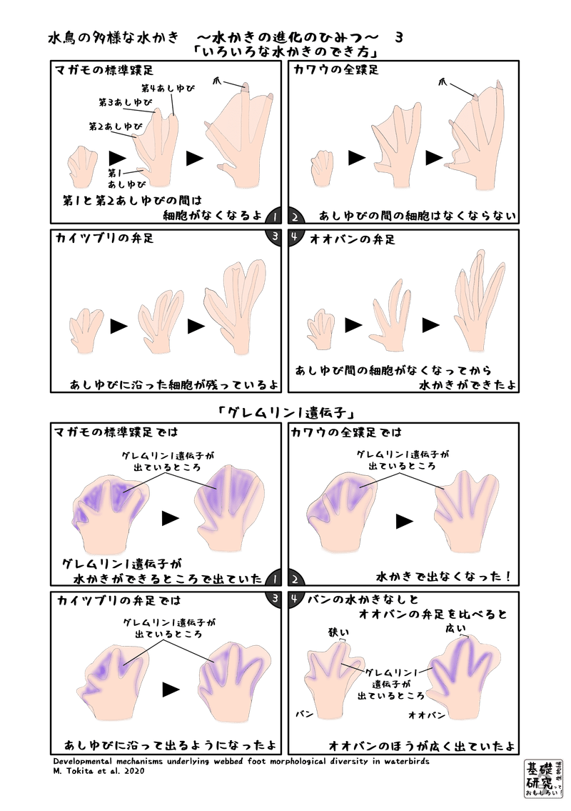 Piiyp91dtp O7m