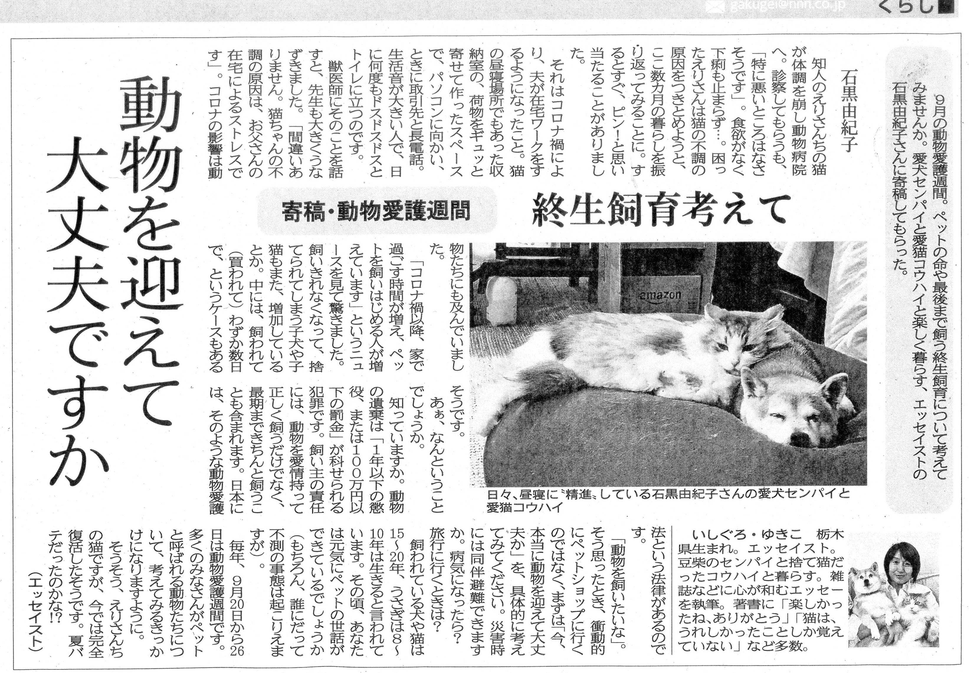 ねこ ネコ ニャンコ 終生面倒見れるかニャ 大阪のうめ吉 Note ねこ ネコ ニャンコ 終生面倒見れるかニャ 大阪のうめ吉 Note