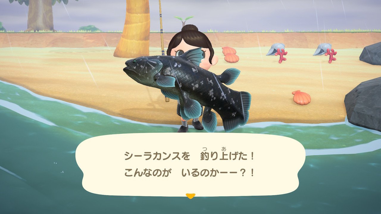小雨の中 突如現れた生き物 籤川えみ くじかわ えみ Note