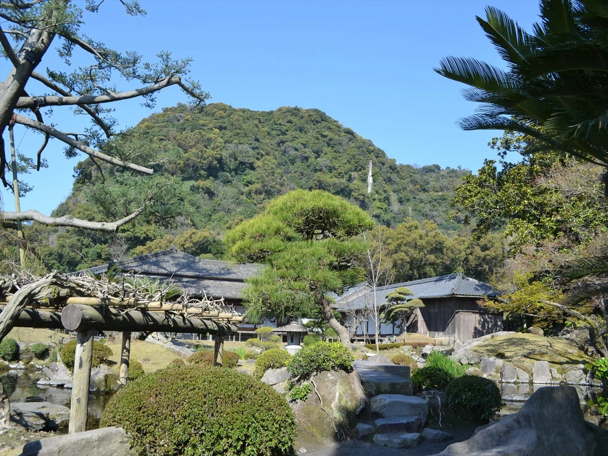 画像