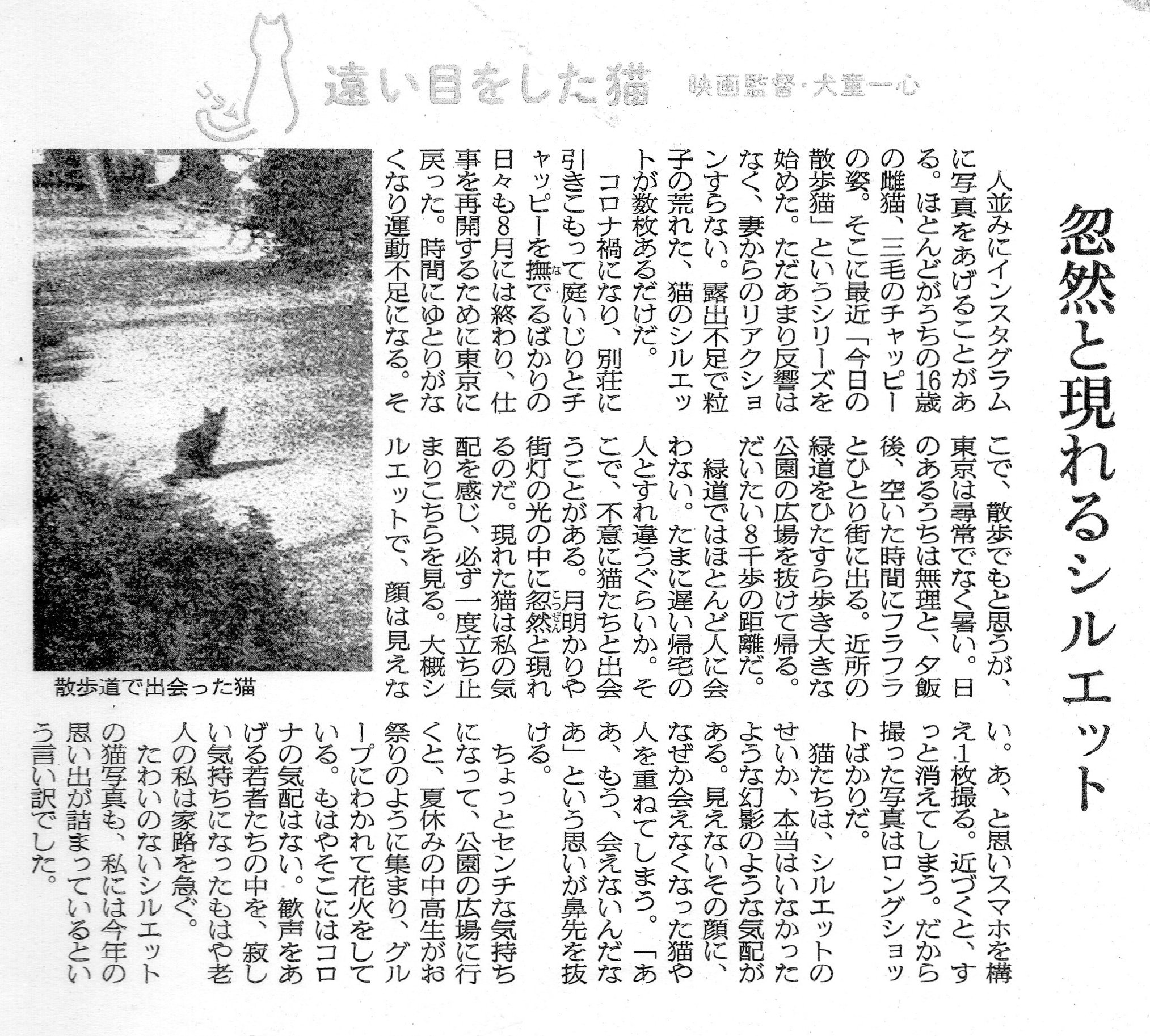 ねこ ネコ ニャンコ 見えないネコのシルエット 大阪のうめ吉 Note