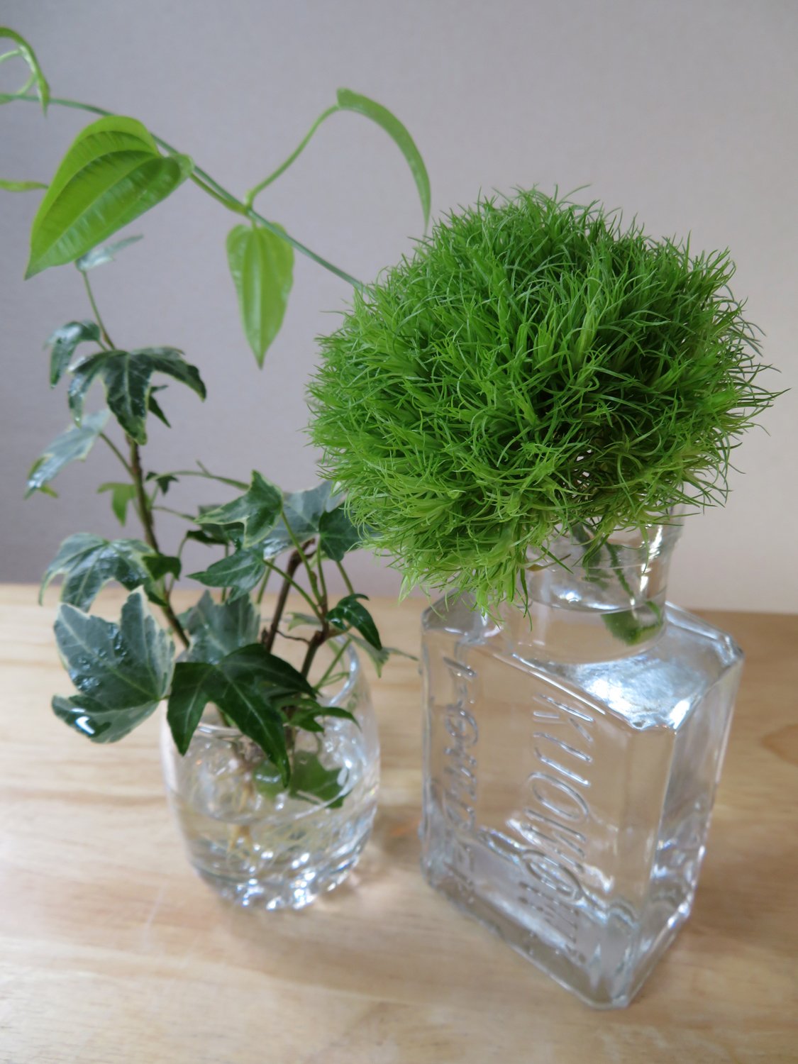 手鞠草と利休草を テーブルに 花と日々 Yas Note 手鞠草と利休草を テーブルに 花と日々 Yas Note