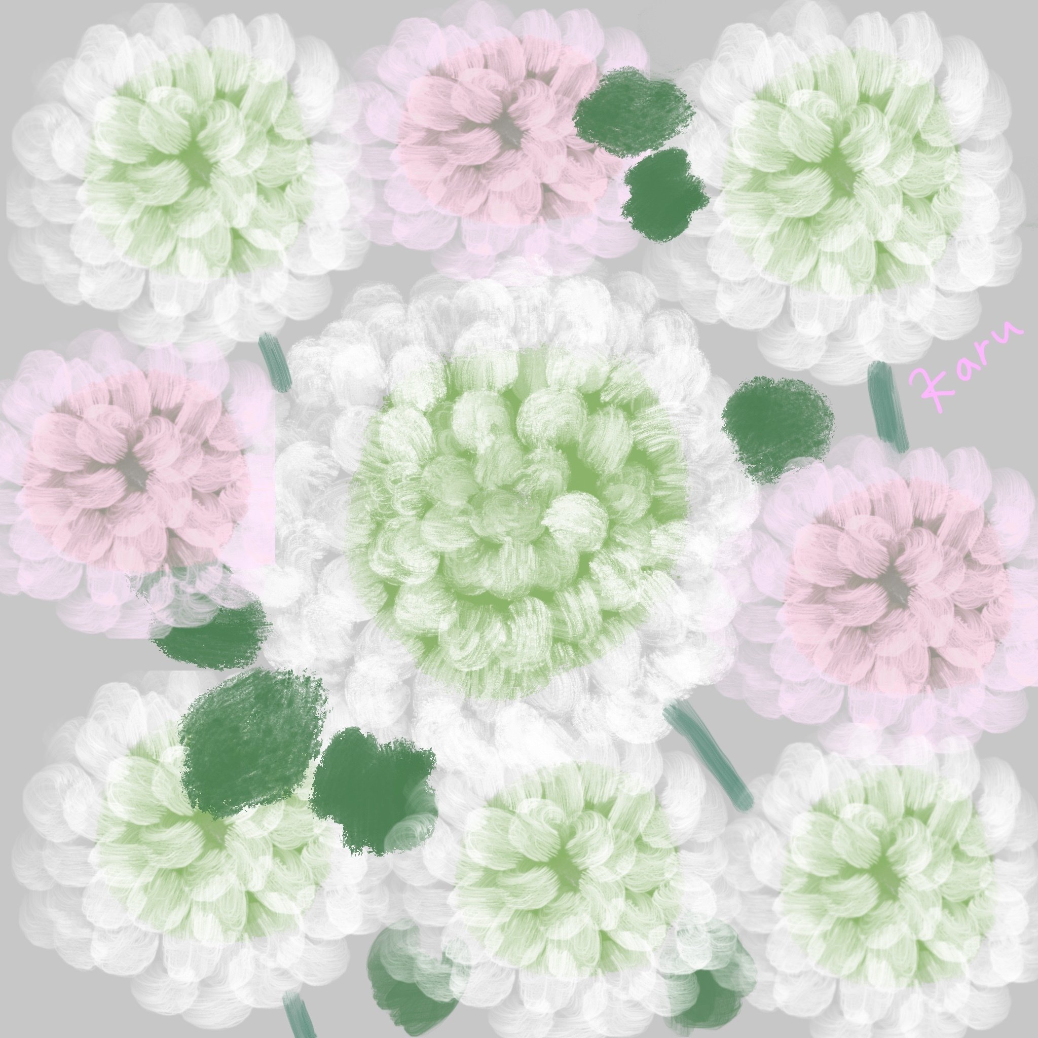ピンポン菊の絵 Karu Note