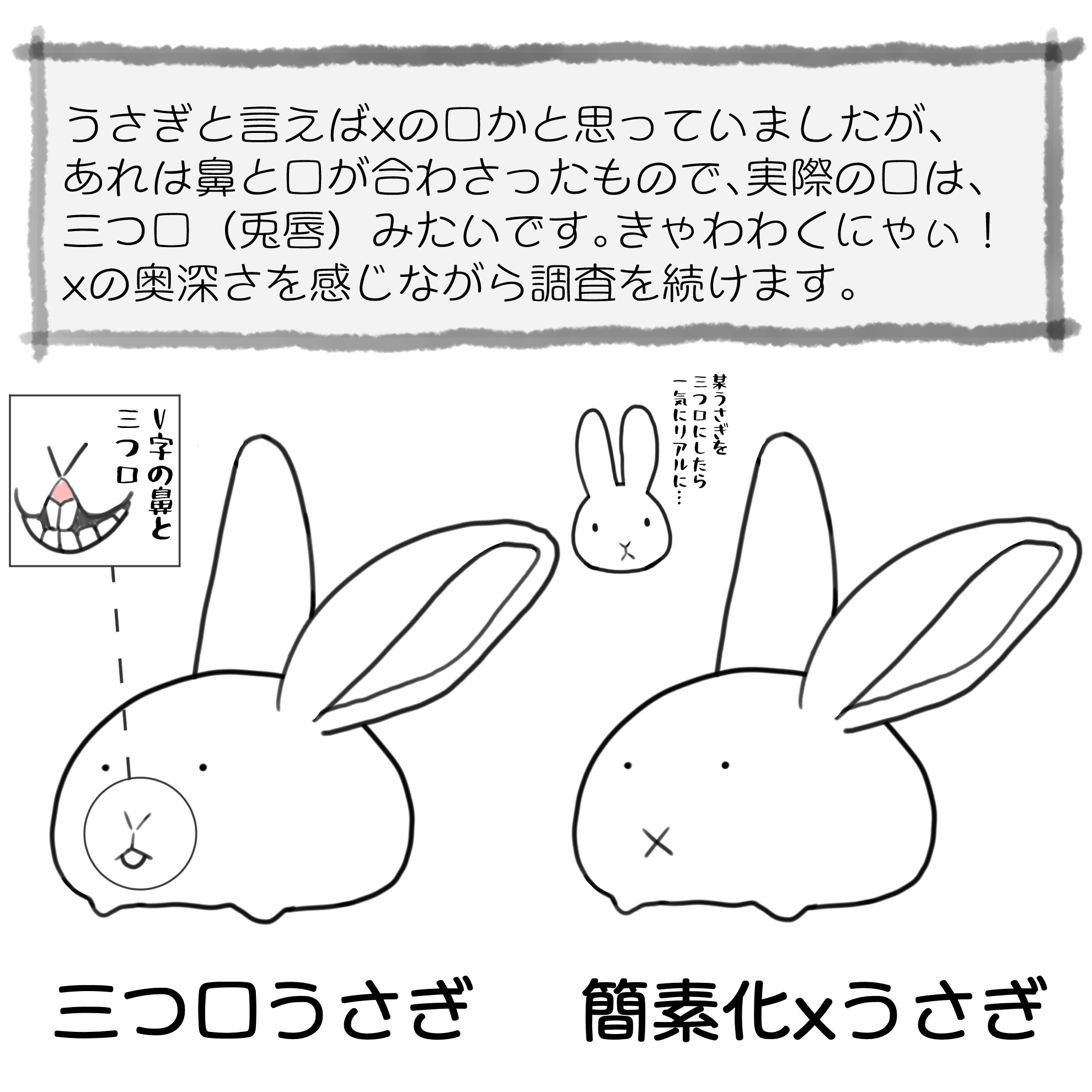 うさぎです その3 うさぎの顔は X Trickey Note