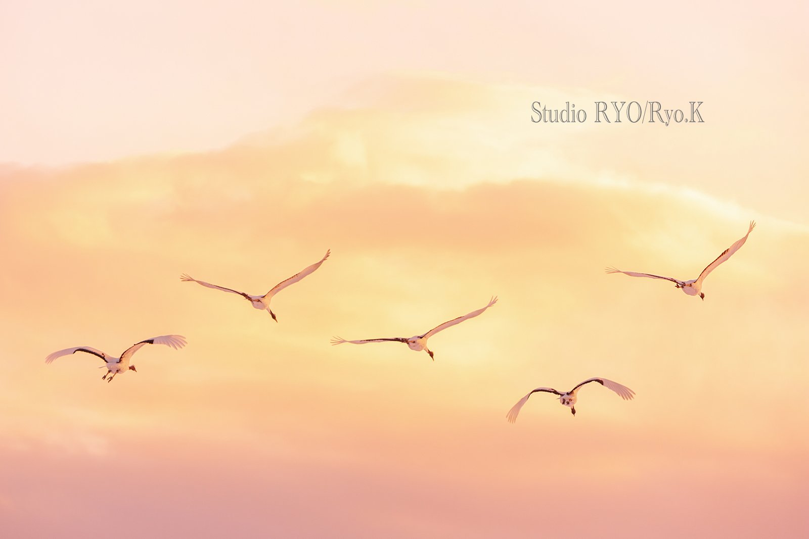 秋は夕暮れ Ryo K Note