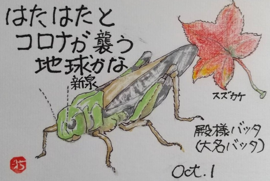 はたはたとコロナが襲う地球かな 勇気人生 会社成長応援コンサルタント ユウ ケンイチ Note