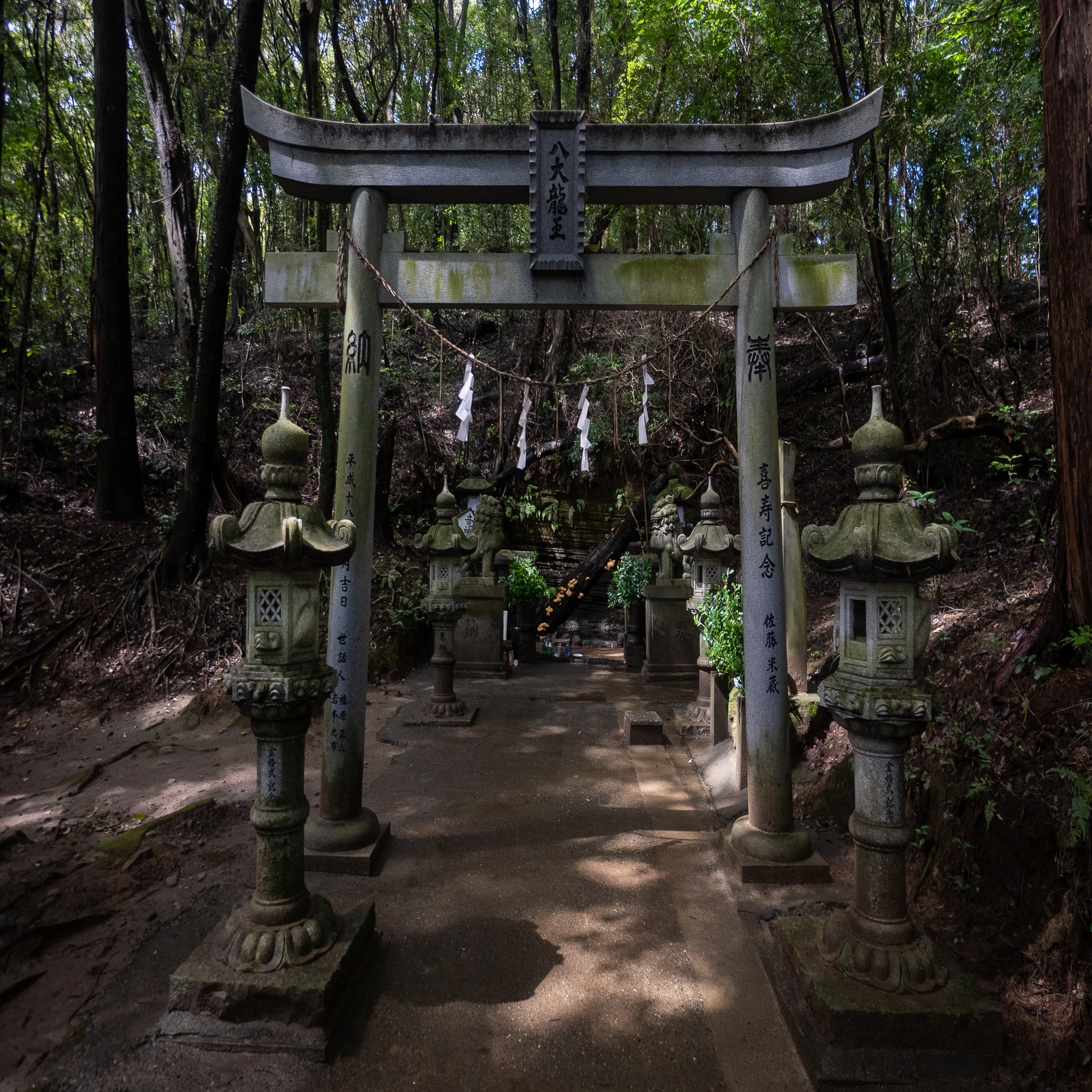Sonya7m3を購入したので写真を撮ってみたよ。練習したいので被写体募集 