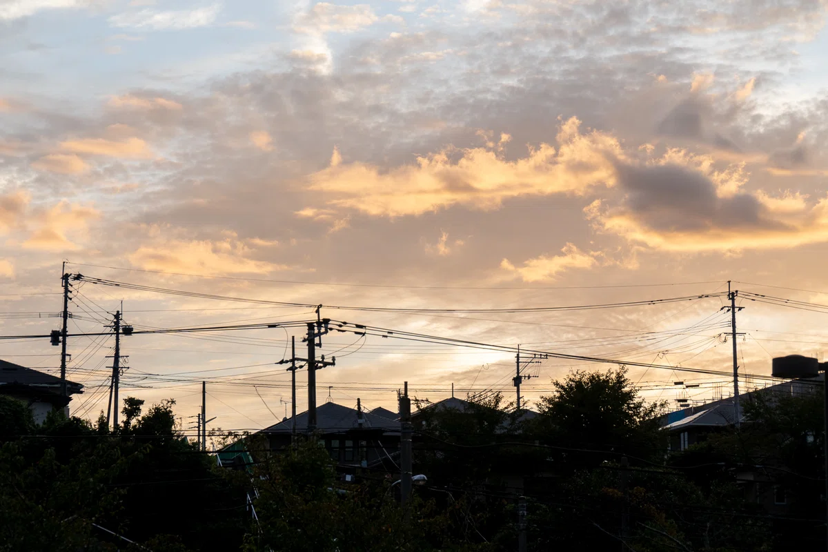Sonya7m3を購入したので写真を撮ってみたよ。練習したいので被写体募集 