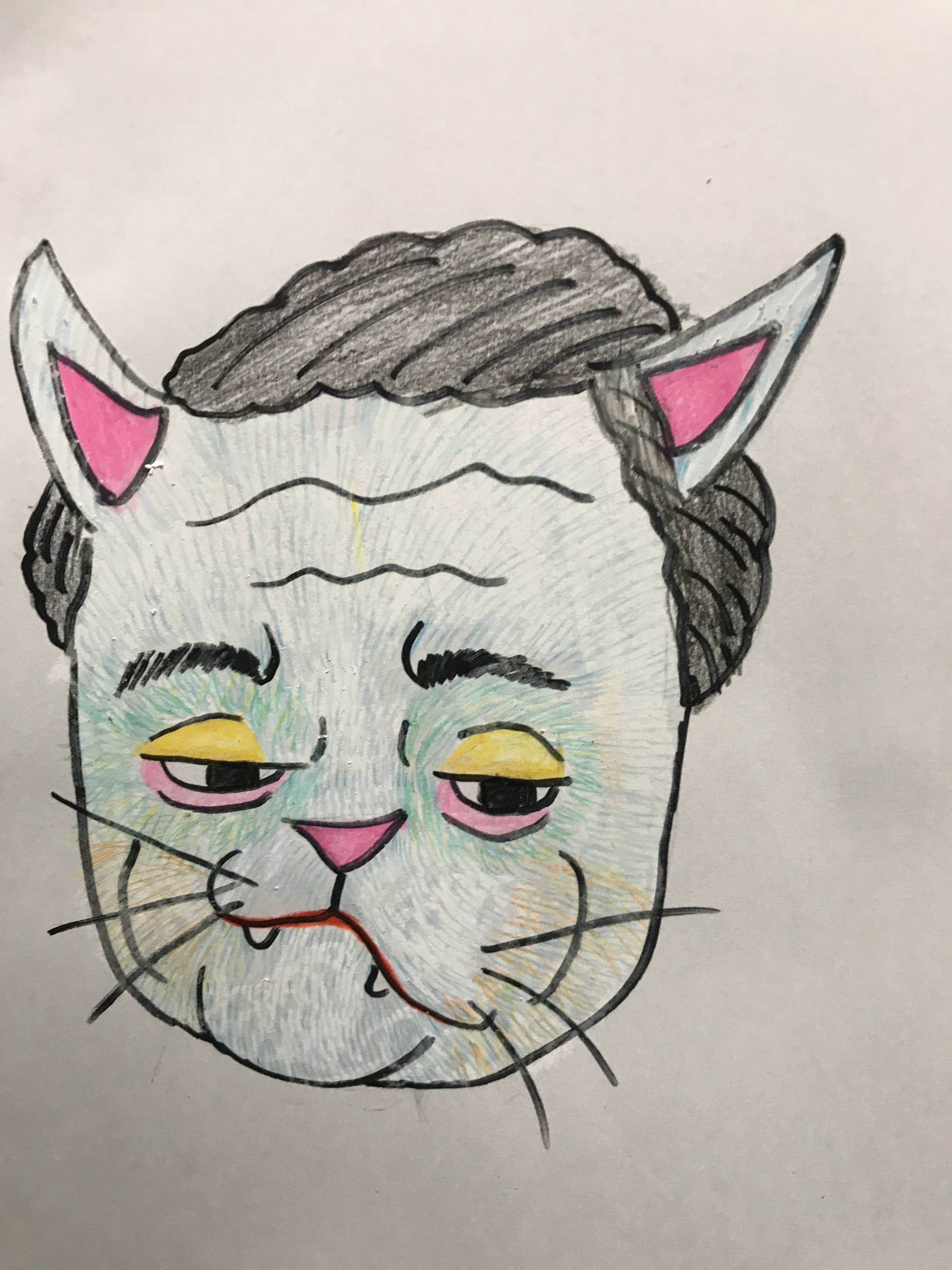 癖のある猫 イラスト ココ次郎 Note 癖のある猫 イラスト ココ次郎 Note