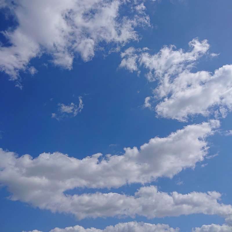 天高く、わし肥ゆる秋。今日もいい天気だった。