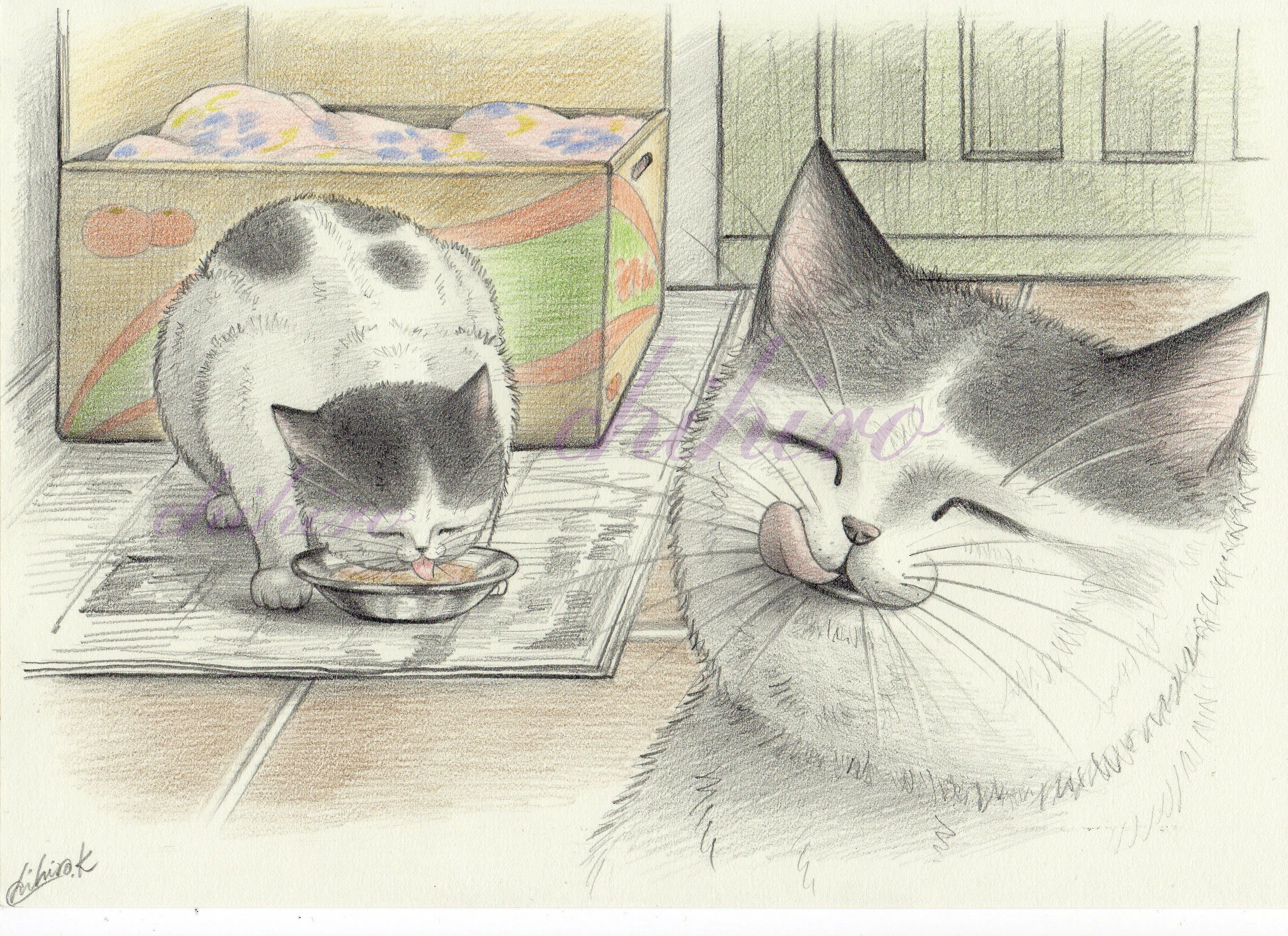 No 19 牛乳を飲む おおきなねこ Plan C 川上千尋 Chihiro Kawakami 色鉛筆で猫の絵本を作っています ほかの作品はこちら Instagram Chihiroangelo Chihiroalter Note