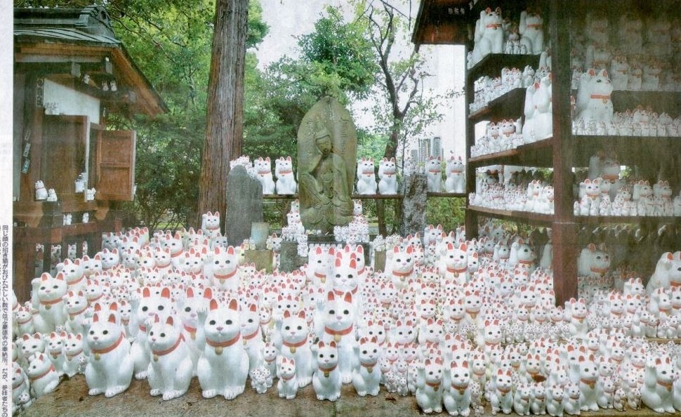 ねこ ネコ ニャンコ 豪徳寺 凄い白ねこちゃんだニャー 大阪のうめ吉 Note ねこ ネコ ニャンコ 豪徳寺 凄い白ねこちゃんだニャー 大阪のうめ吉 Note