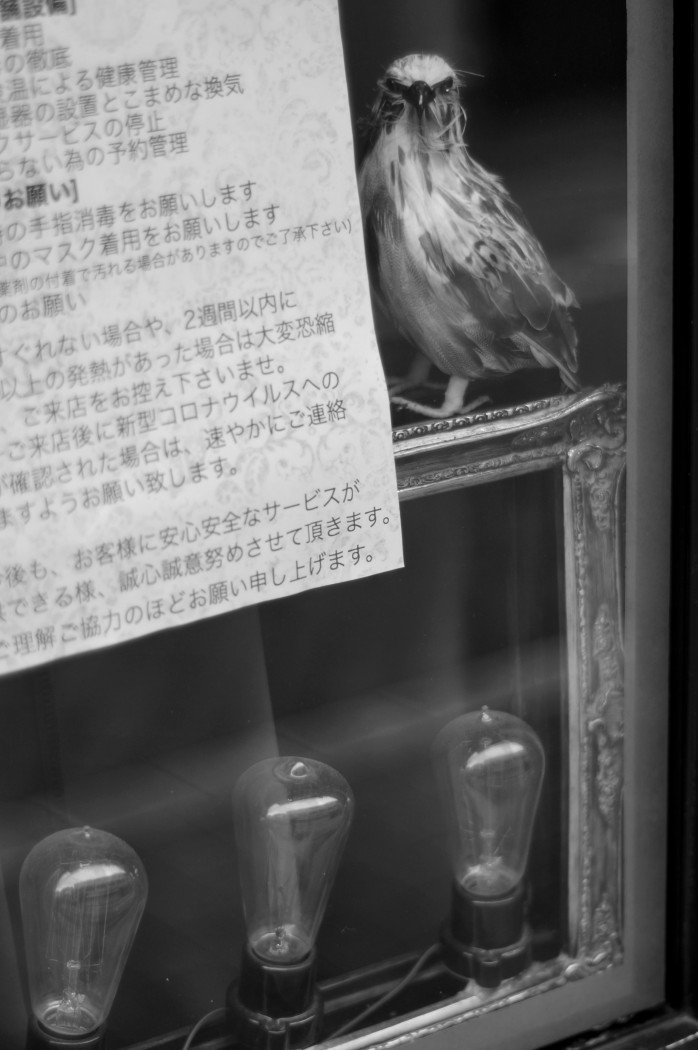 Carl Zeiss Planar T 50mm F1 4と林檎 Non Note