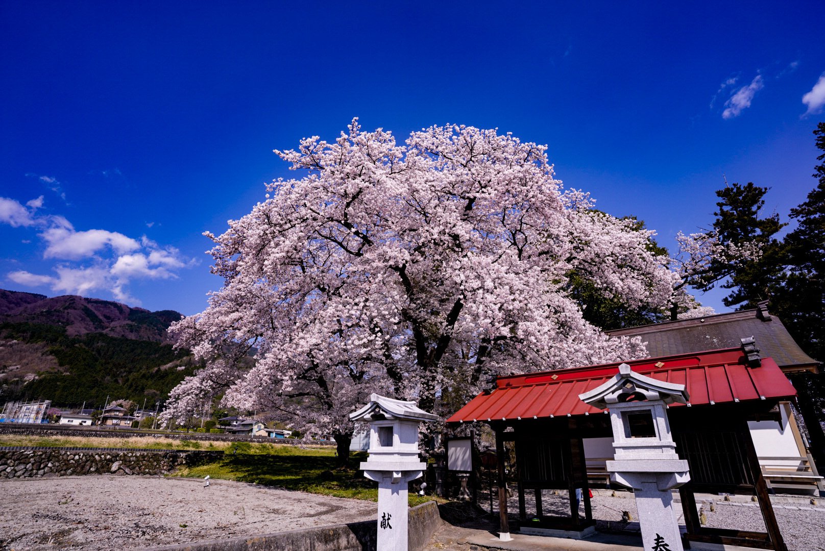 桜のある景色 Ken Ken118 Note 桜のある景色 Ken Ken118 Note
