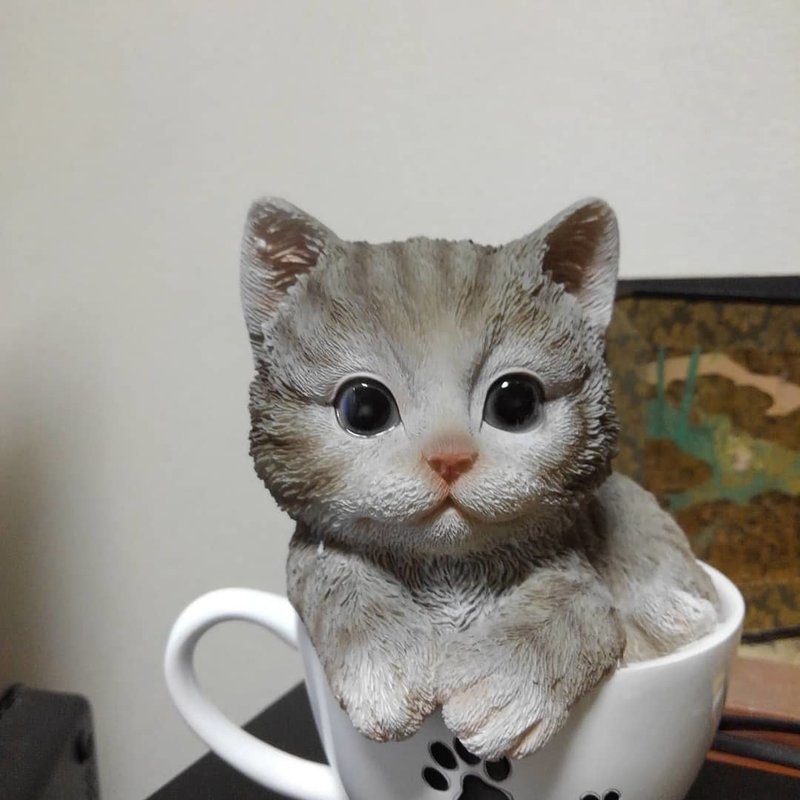 Fhbcasaeiscrvm