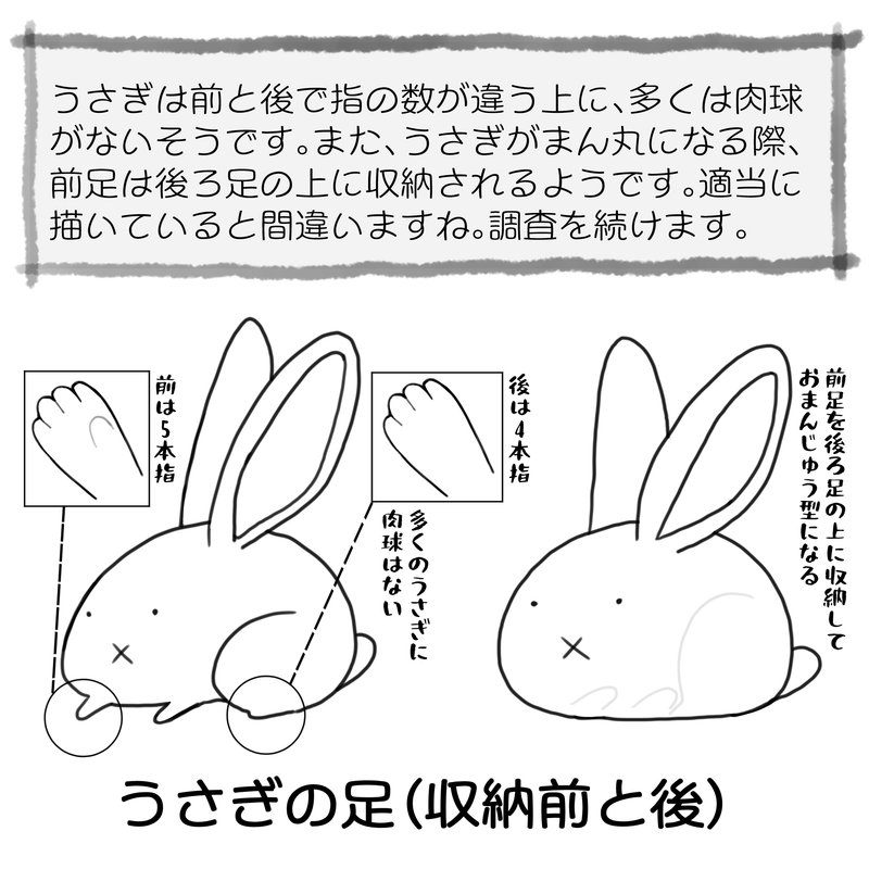 うさぎです 絵 Trickey Note