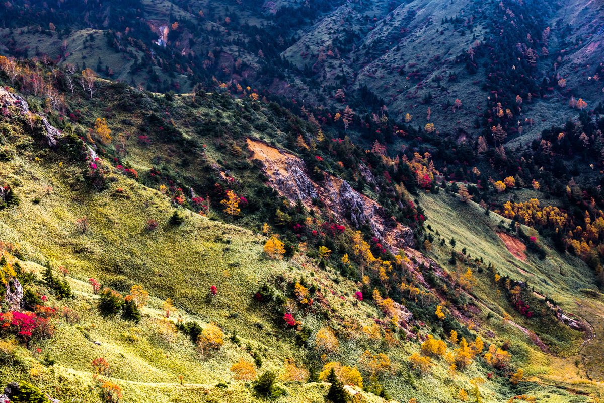 番外編 標高2 000ｍの紅葉 はやかわこういち Note