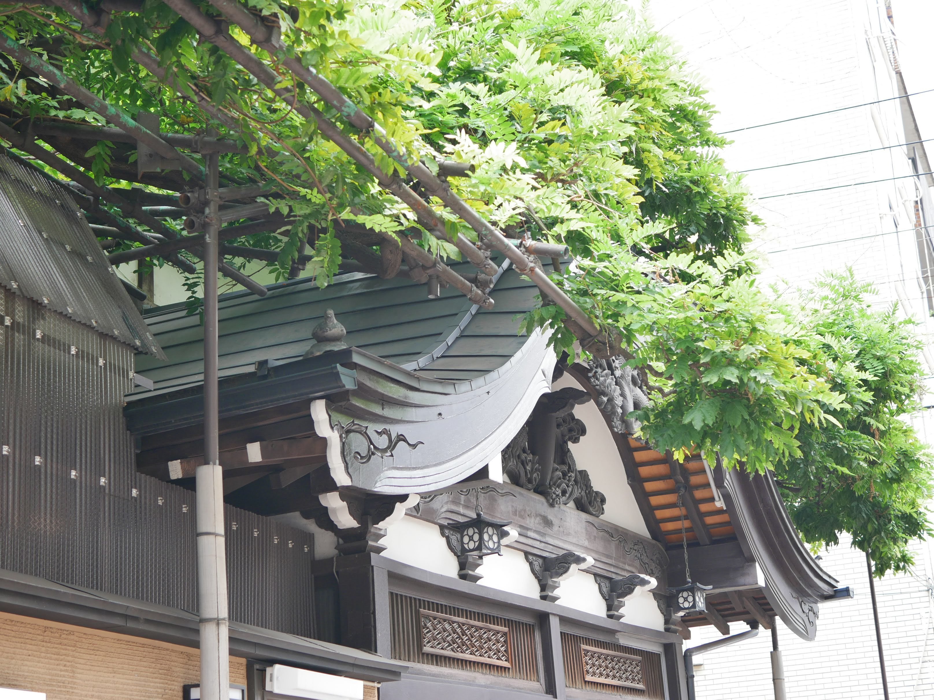 浅草の藤棚は 鬼滅 の鬼除けでなく 戦後埋め立てられた瓢箪池 現ウィンズ の痕跡 Masutani Note