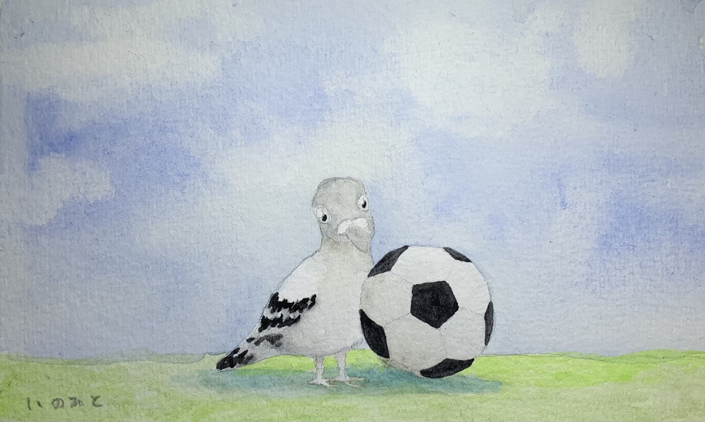 フィールドの中の鳩 いのひと Note フィールドの中の鳩 いのひと Note
