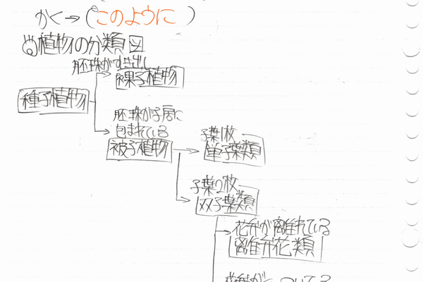 植物の分類図 の新着タグ記事一覧 Note つくる つながる とどける 植物の分類図 の新着タグ記事一覧 Note つくる つながる とどける