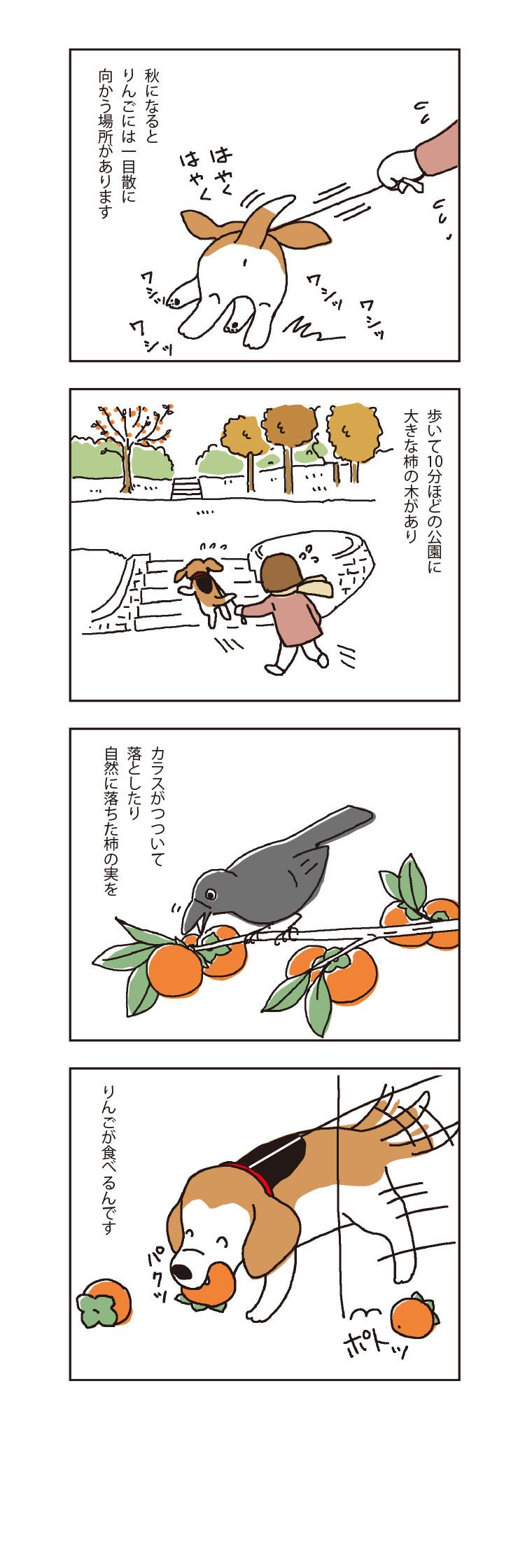 ほぼビーグルのりんごさん りんごろごろ Note ほぼビーグルのりんごさん りんごろごろ Note