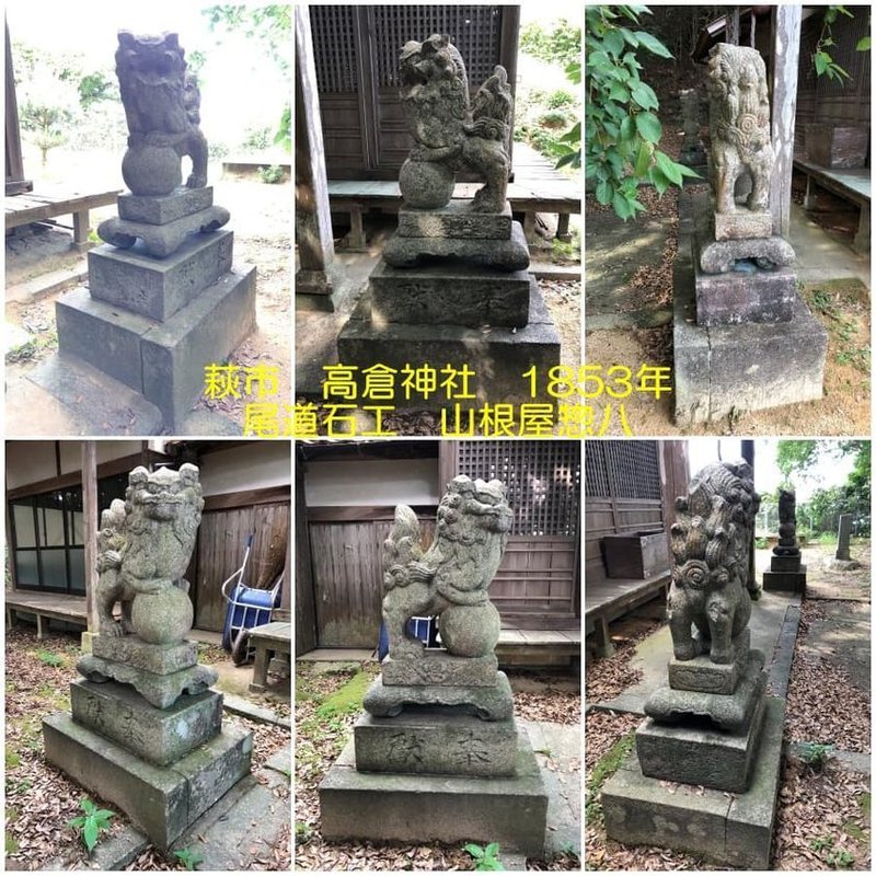 萩市街地から海岸を10キロほど東に進んだ 大井地区に高倉神社はあります 海際の小高い丘の上からは眼下に沖に浮かぶ大島が 手に取るように見えます そんな丘の上の社の拝殿前に居られるのが 山口県では最も日本海を遡った最北の尾道狛犬さんです 尾道狛犬は瀬戸内側の柳井あたりまで多数おられますが さらに西の下関や日本海側に向けては めったに姿を見かけません 山口県内では最北ですが、島根や鳥取などにも 尾道の狛犬さんが行かれているのか?気になります