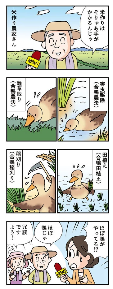お仕事のご紹介書籍マンガでわかる日本の地理4コママンガ制作 あべかよこ Note