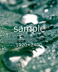 Pc壁紙 雲海の中 真木隆司 Note