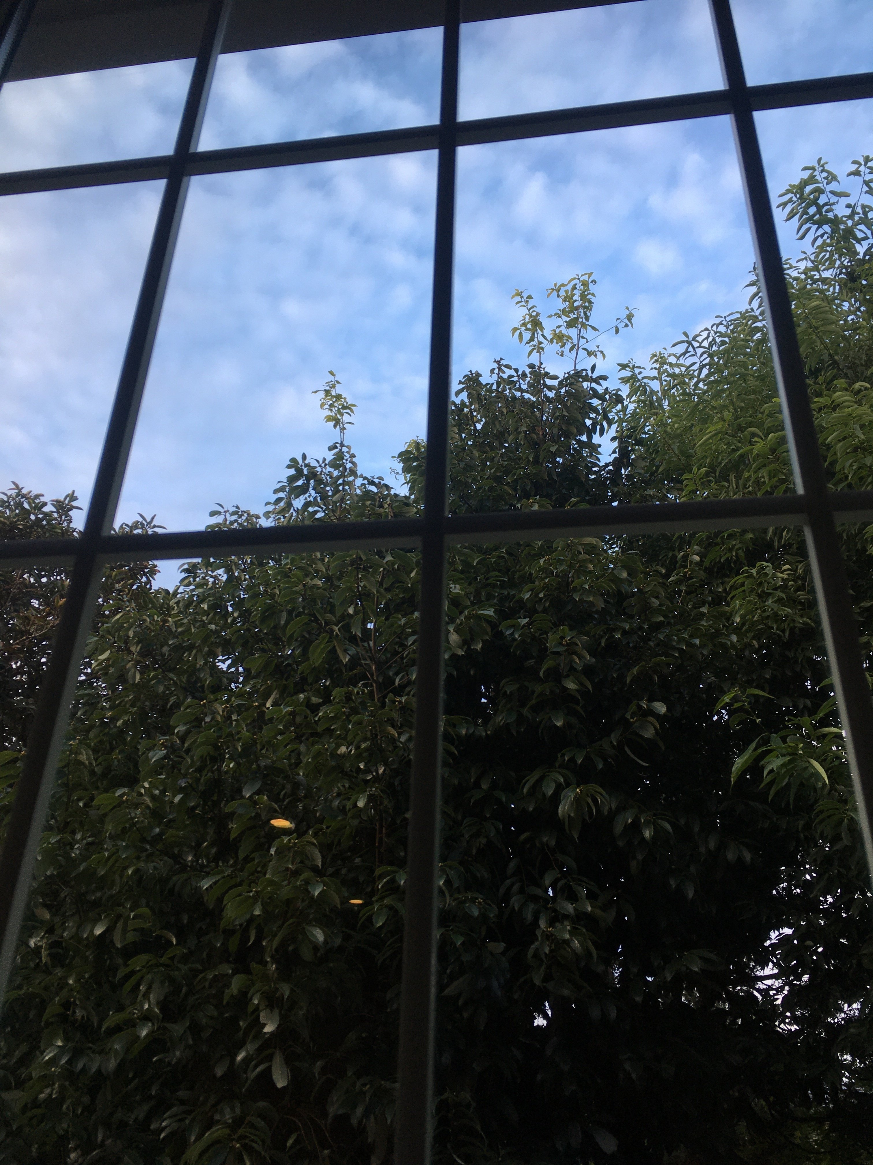 英国かぶれ 窓から自然 緑 が見える クリストファー伯爵の写真日記 Note