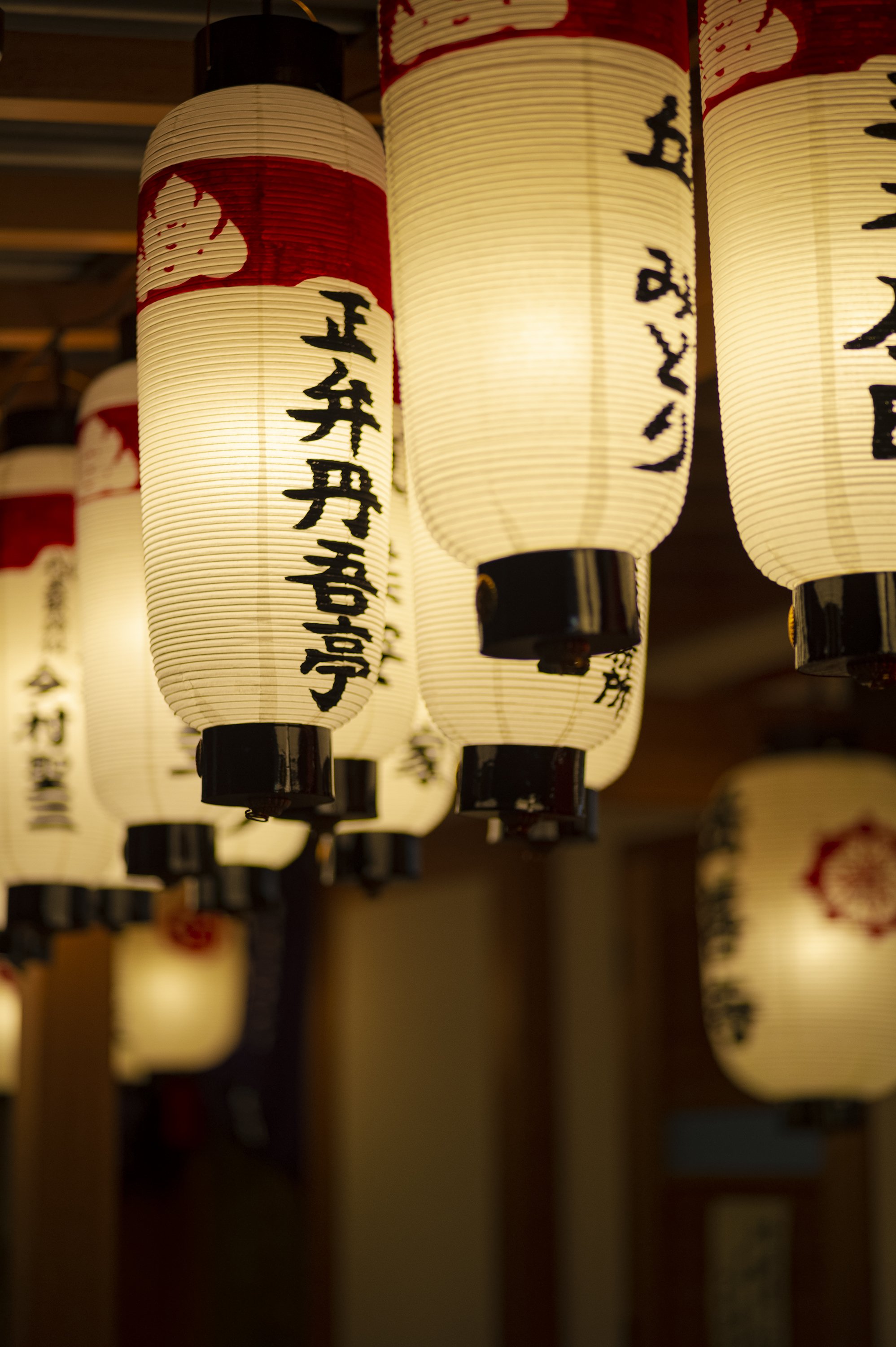 Voigtländer Color Heliar 75mm F2.5 SL -- 隠れた名玉・ほのかな光の