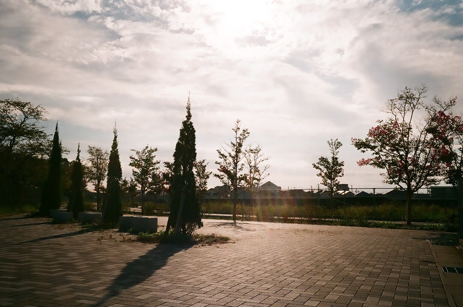 Nikon 35Ti 作例】おじいちゃんの家から発掘したフィルムカメラ Nikon 35Ti 作例】おじいちゃんの家から発掘したフィルムカメラ