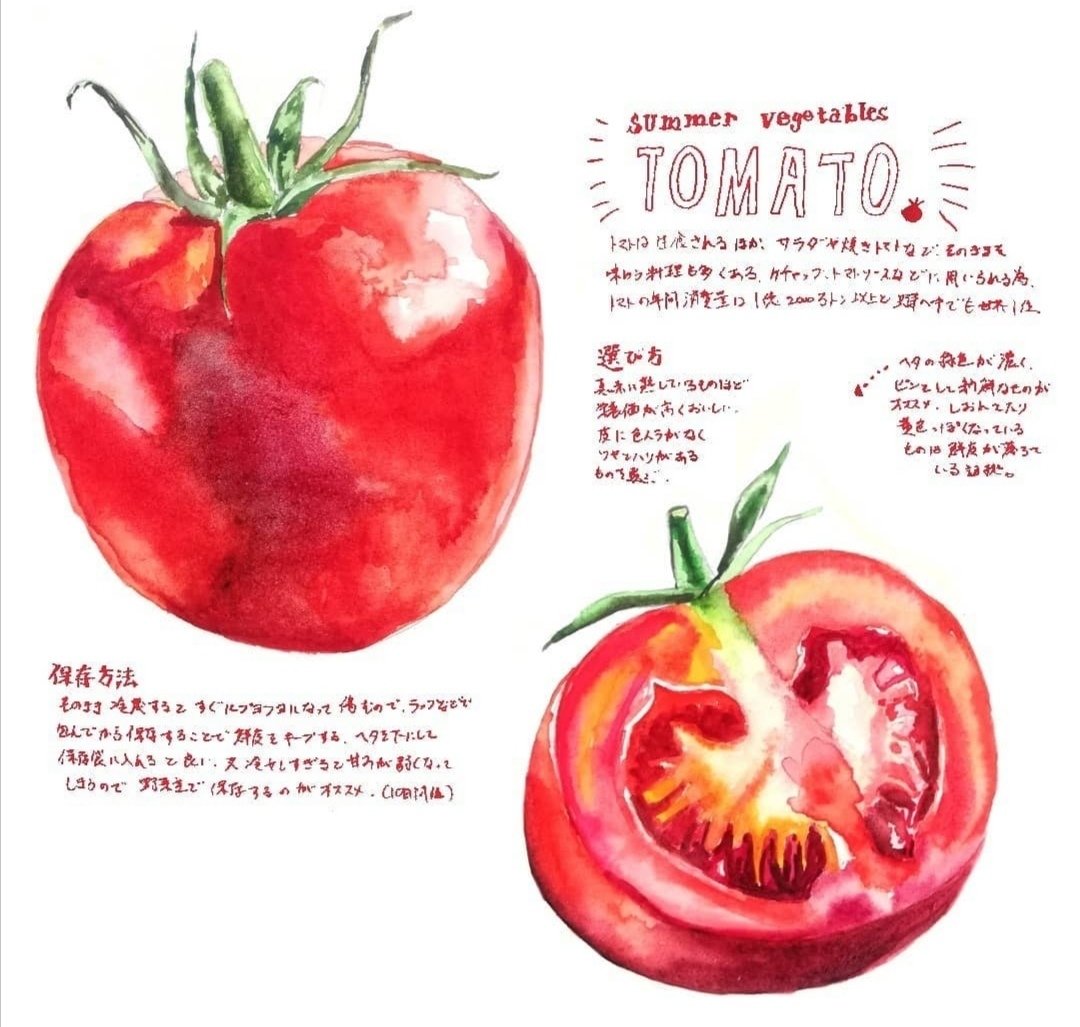 イラストギャラリー 野菜 果物 きのっこ 水彩イラスト Note