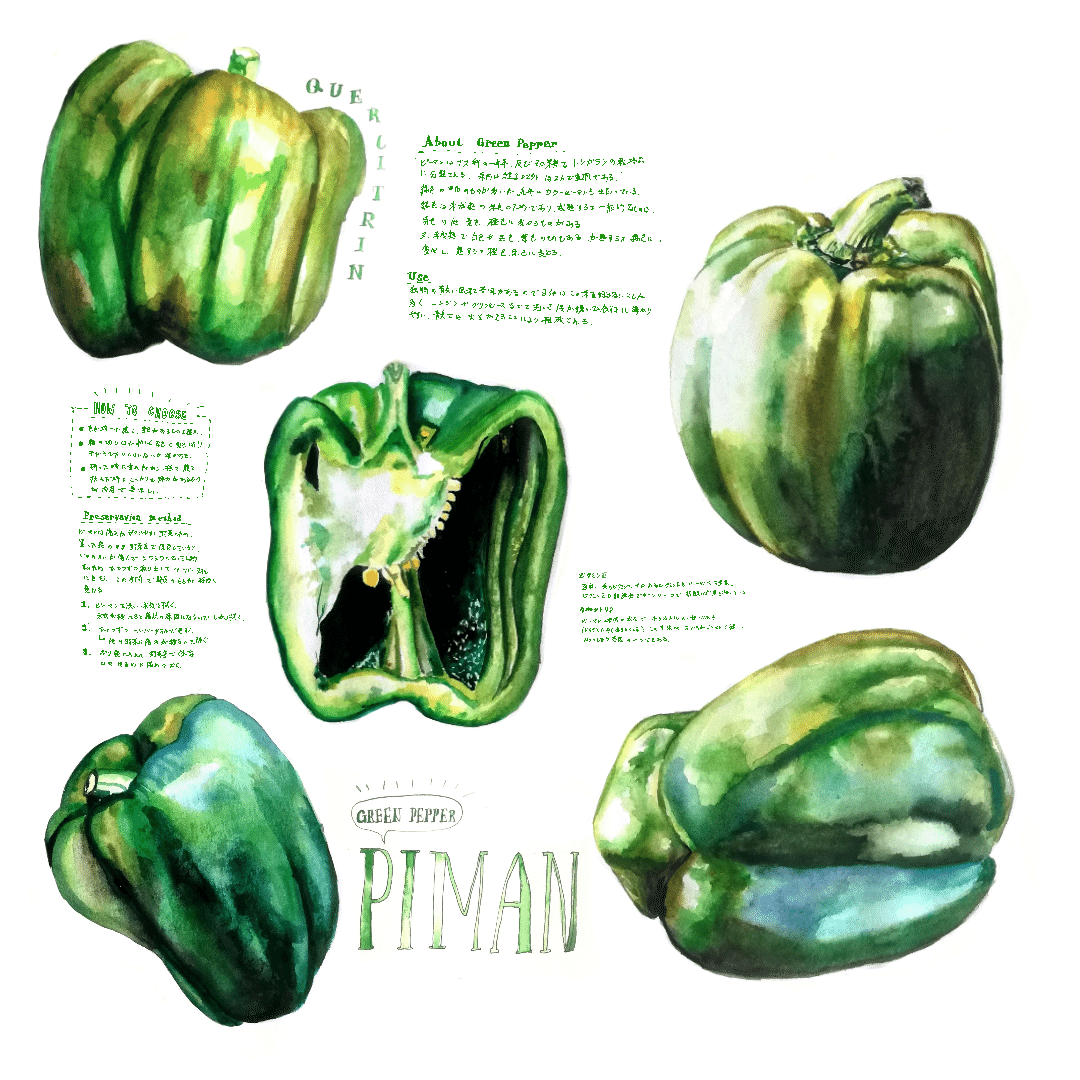 イラストギャラリー 野菜 果物 きのっこ 水彩イラスト Note イラストギャラリー 野菜 果物 きのっこ 水彩イラスト Note