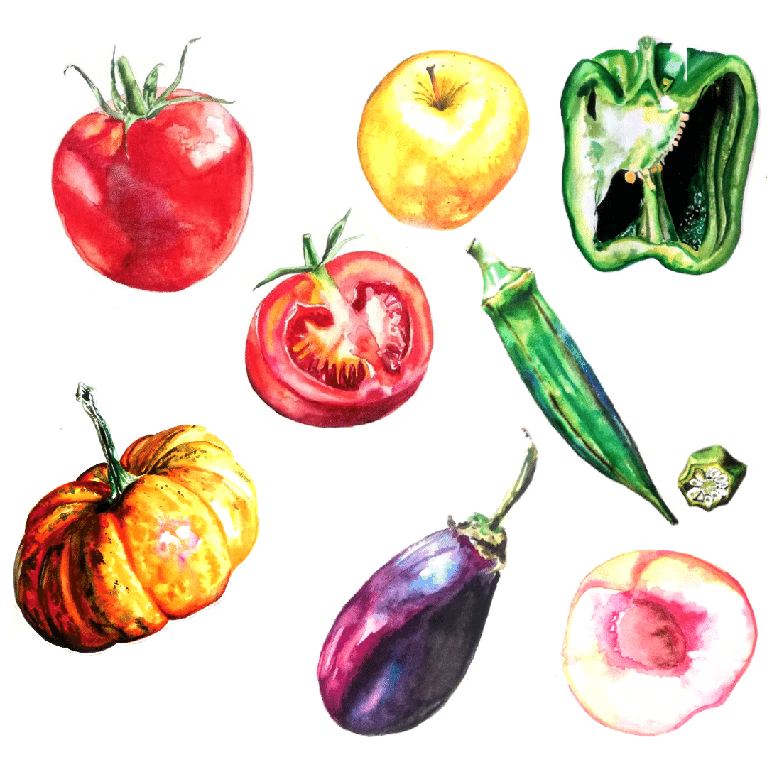 イラストギャラリー 野菜 果物 きのっこ 水彩イラスト Note