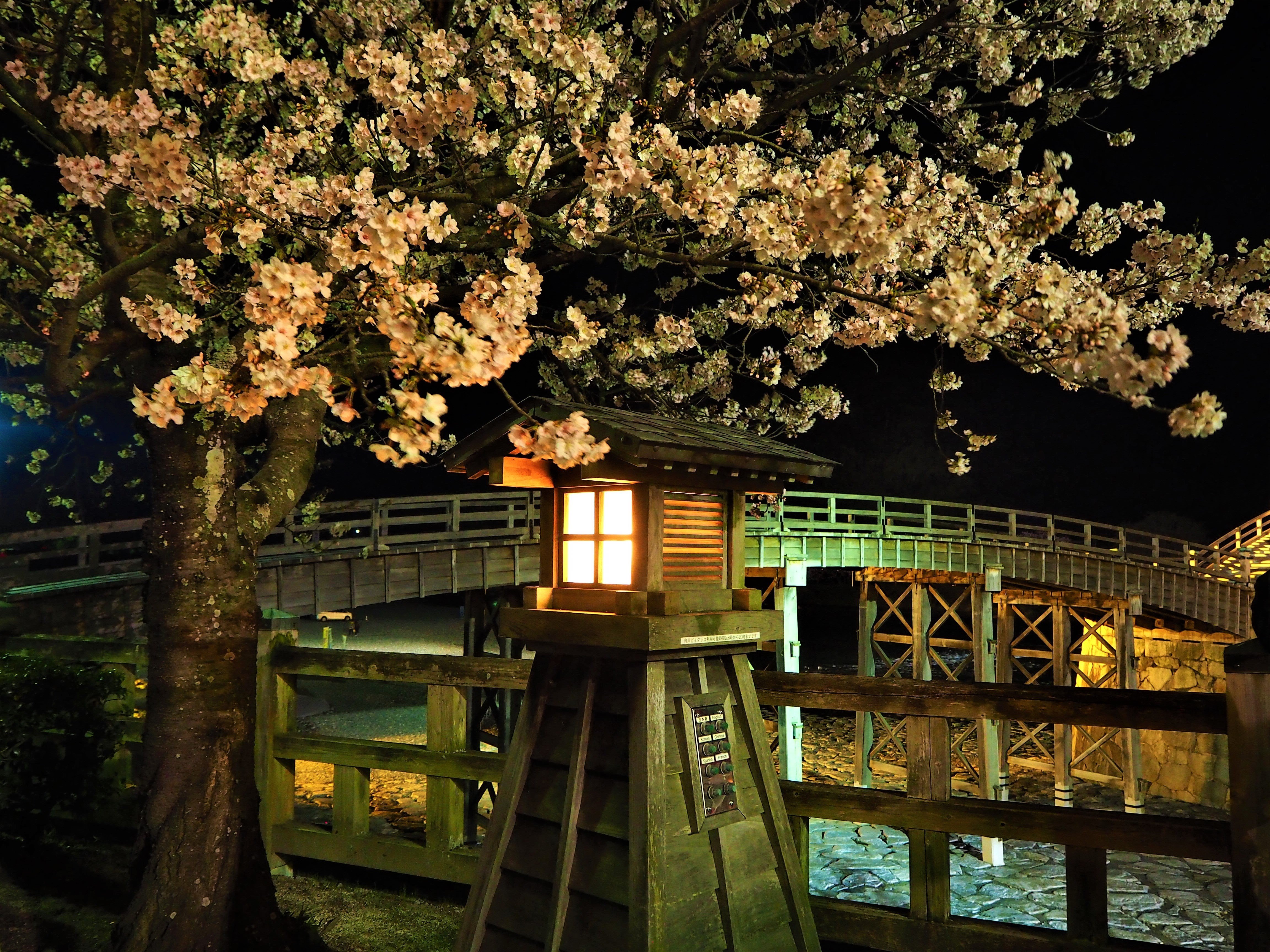 錦帯橋は夜桜の季節が大変お勧めで御座います 御園フランチェスカ Note