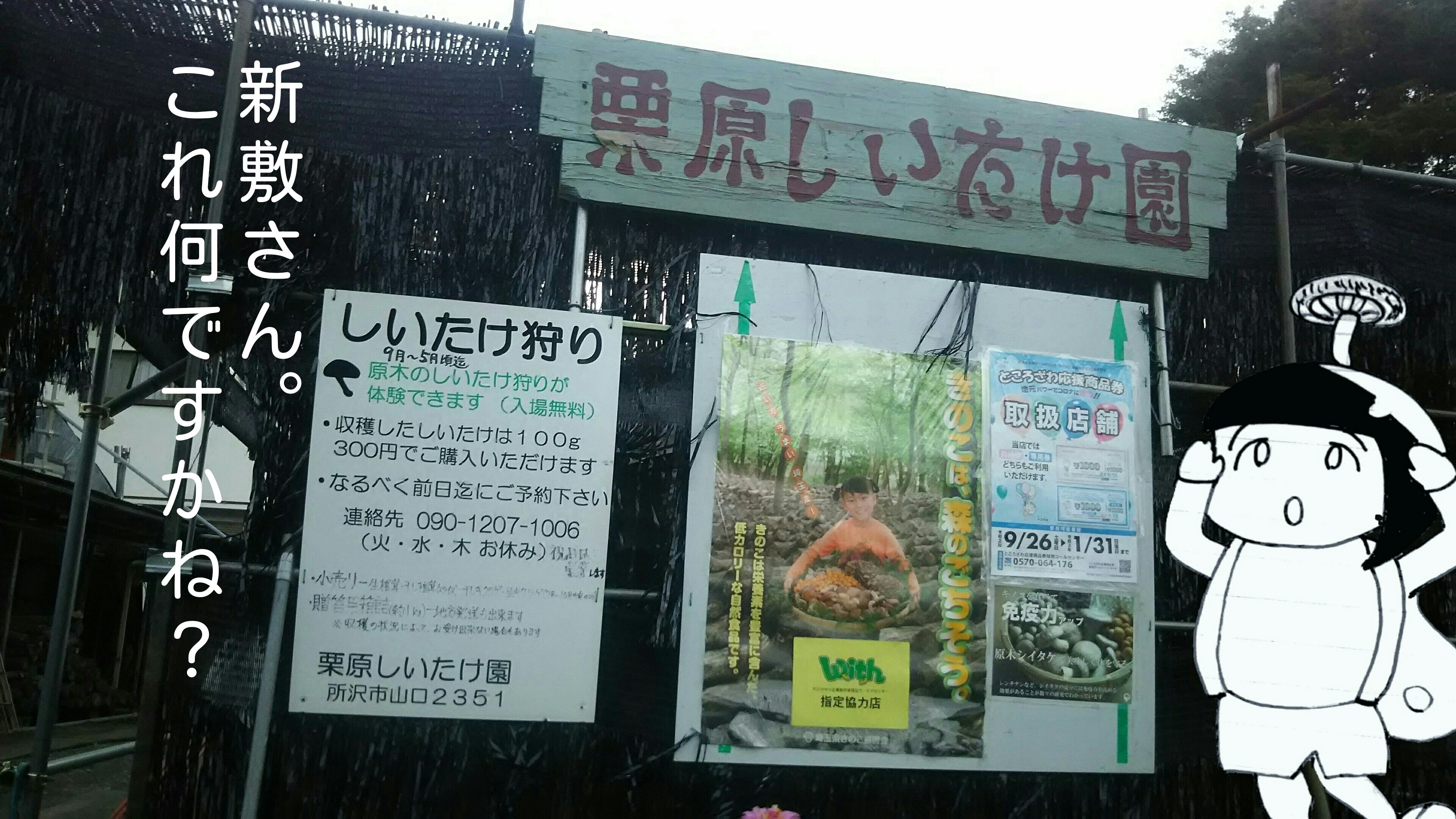 朝ケーキ健康法 カリフォルニア スイート 監督 ハーバード ロス 棚さんの友達の猿渡 Note