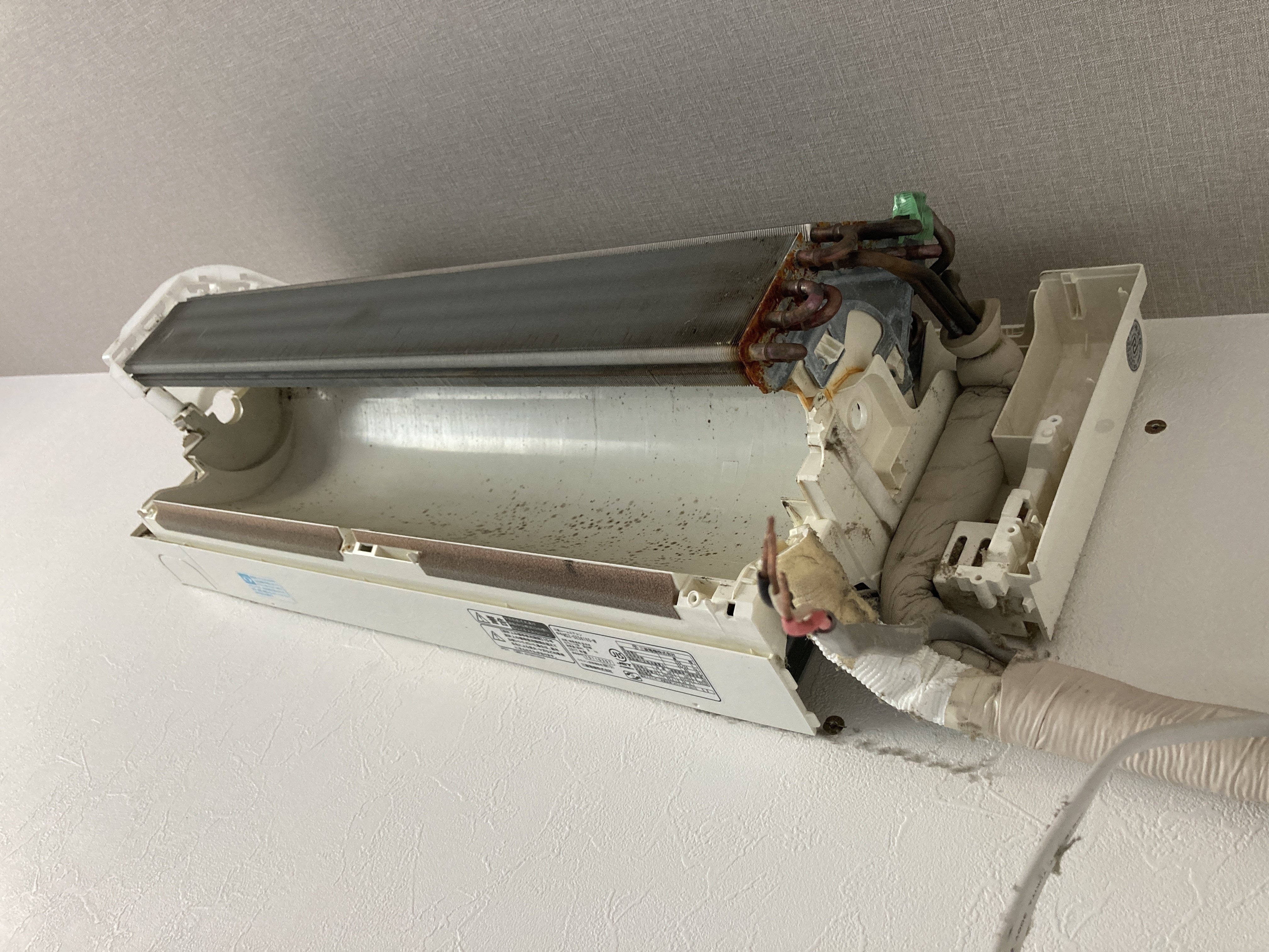 あなたはカビだらけの空気を吸い続けたいですか エアコンクリーニングは命を守る掃除です クリーンハンター Note あなたはカビだらけの空気を吸い続けたいですか エアコンクリーニングは命を守る掃除です クリーンハンター Note