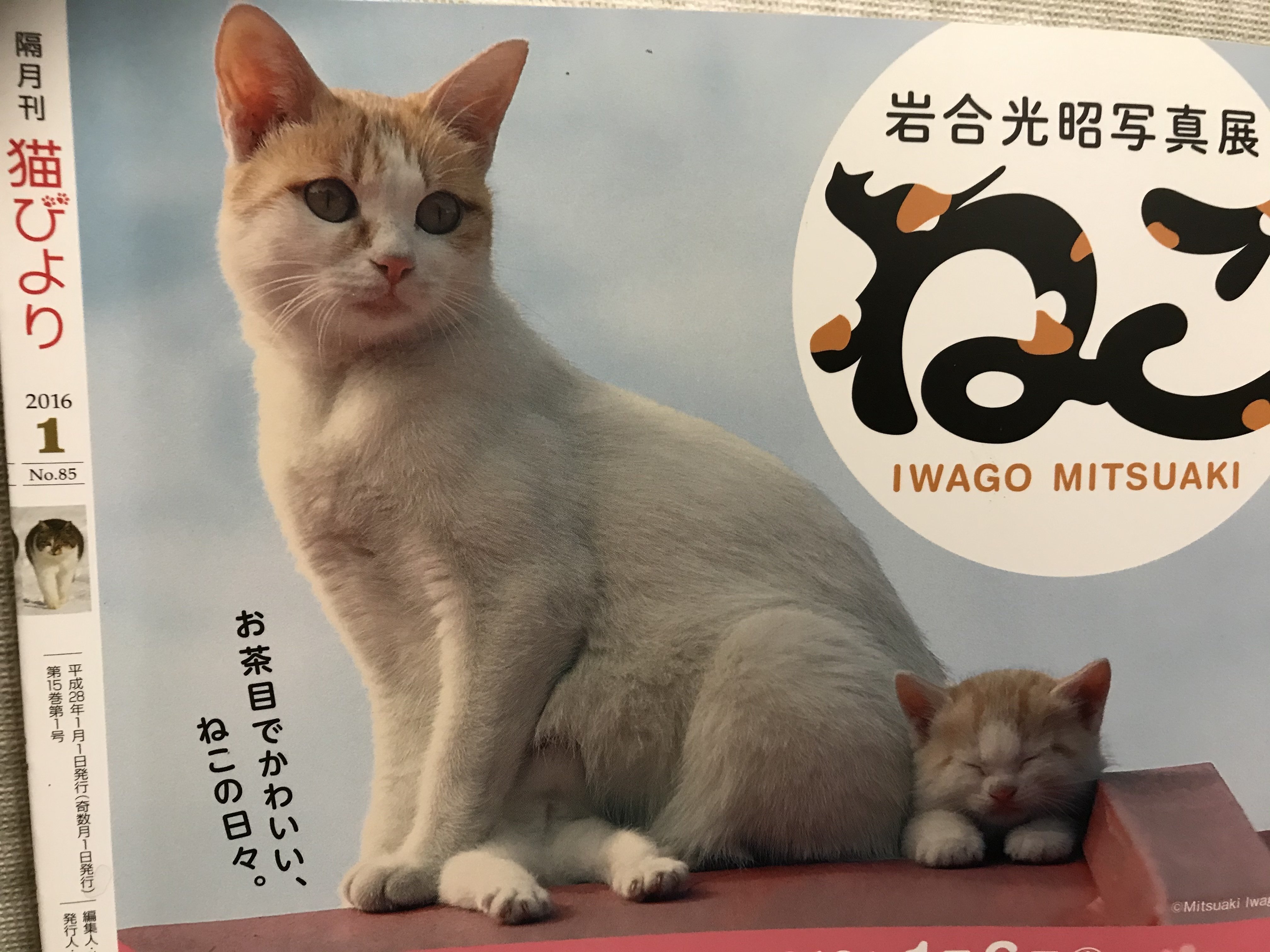 癖は あるが 可愛い猫の絵 ココ次郎 Note 癖は あるが 可愛い猫の絵 ココ次郎 Note