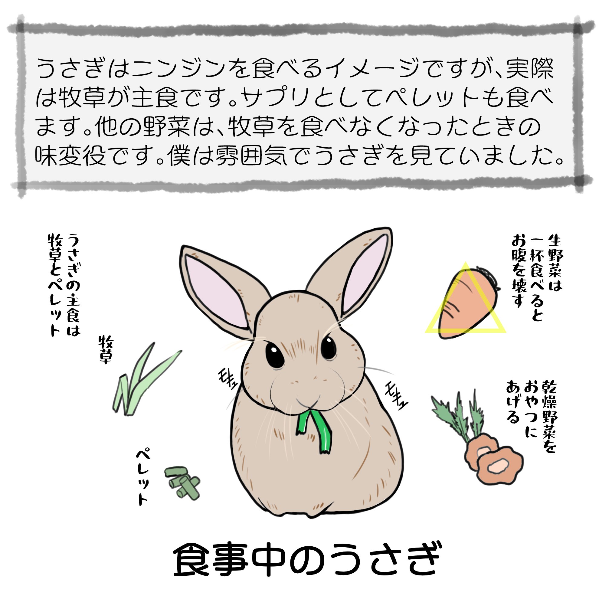 うさぎです その10 うさぎにはニンジン Trickey Note うさぎです その10 うさぎにはニンジン Trickey Note
