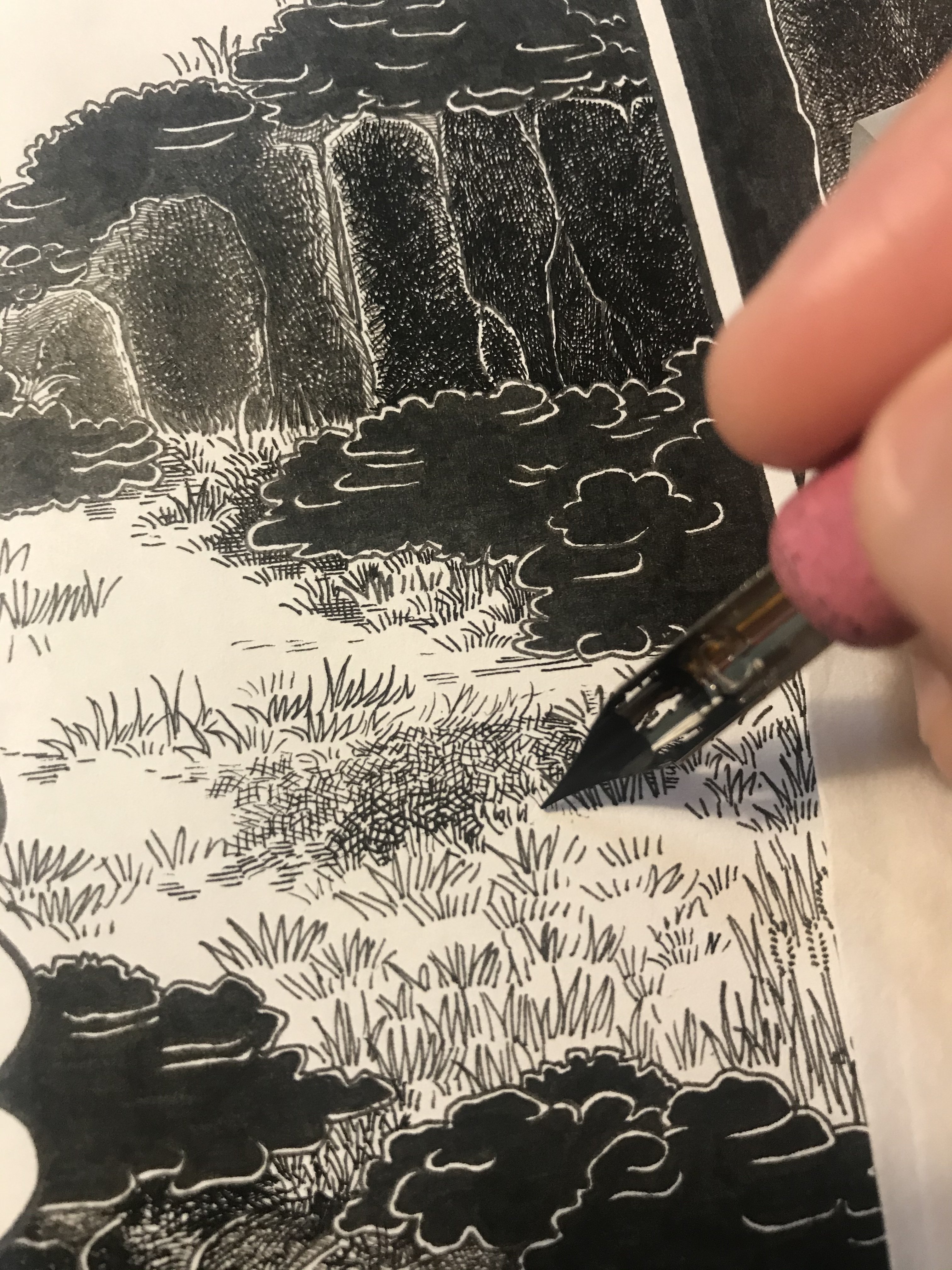 引き取り限定！自作絵画 ケント紙にGペン1発描き