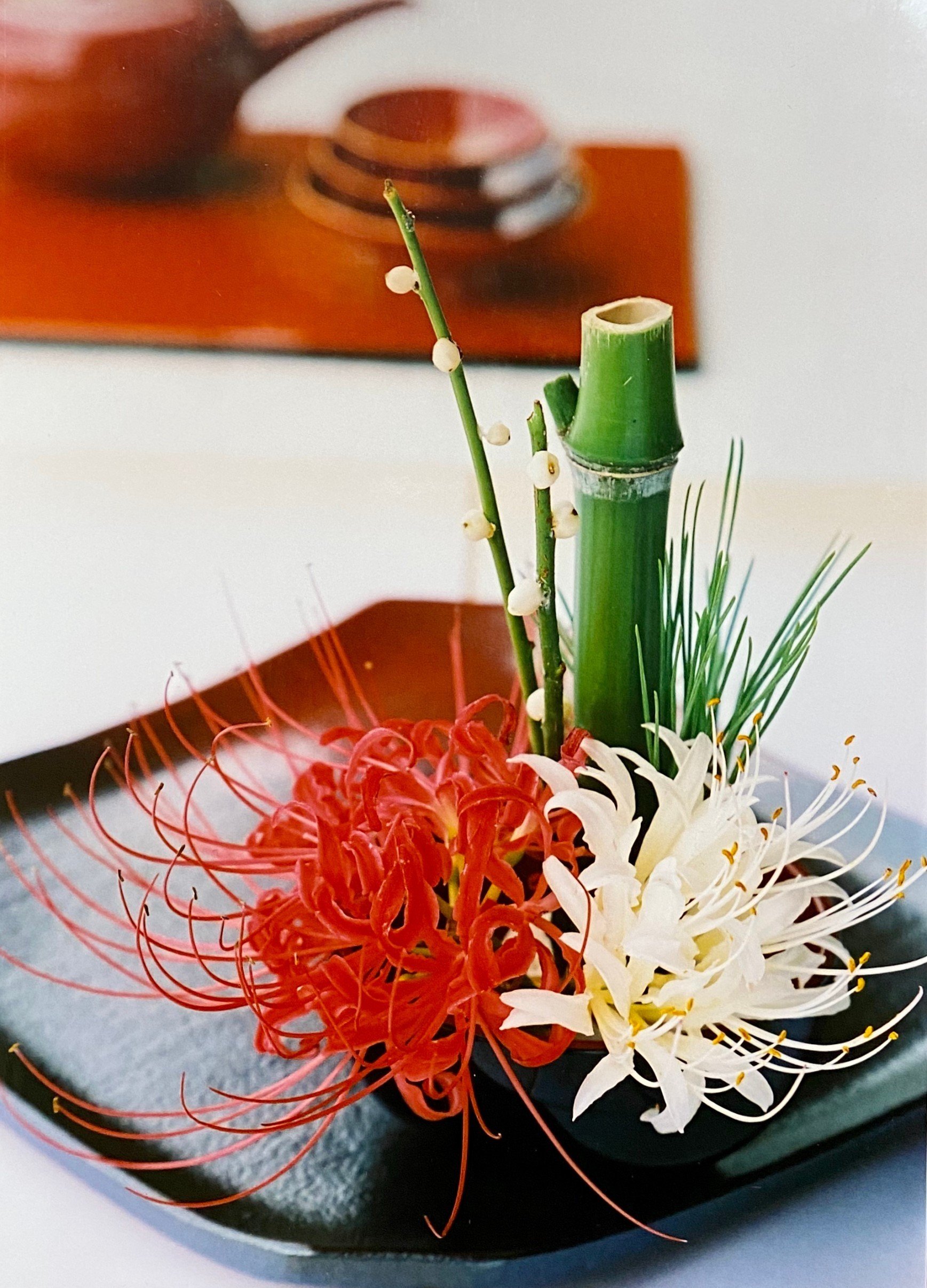 9月に活けるお正月花 澄洋 ちょうよう Note