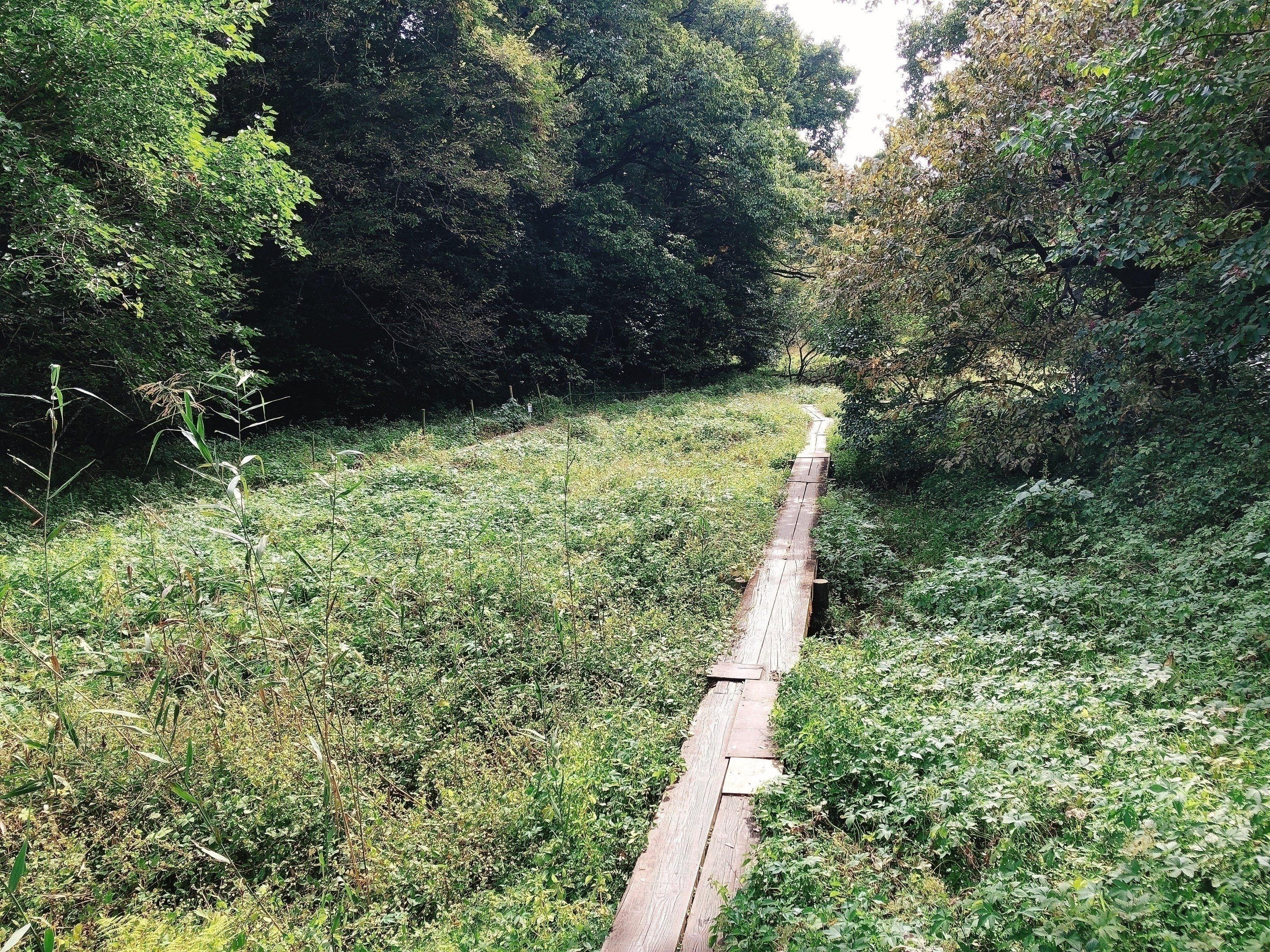 秋を探しに北本自然観察公園へ行ってきました 埼玉県北本市 Itサラリーマン大樹 Note