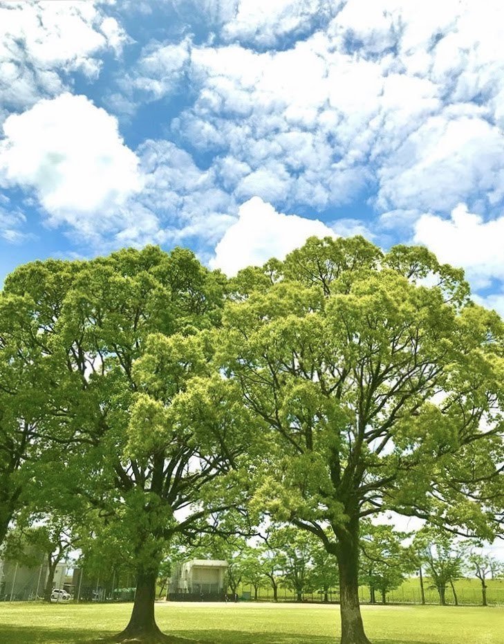 オススメ壁紙 撮人詩 Note