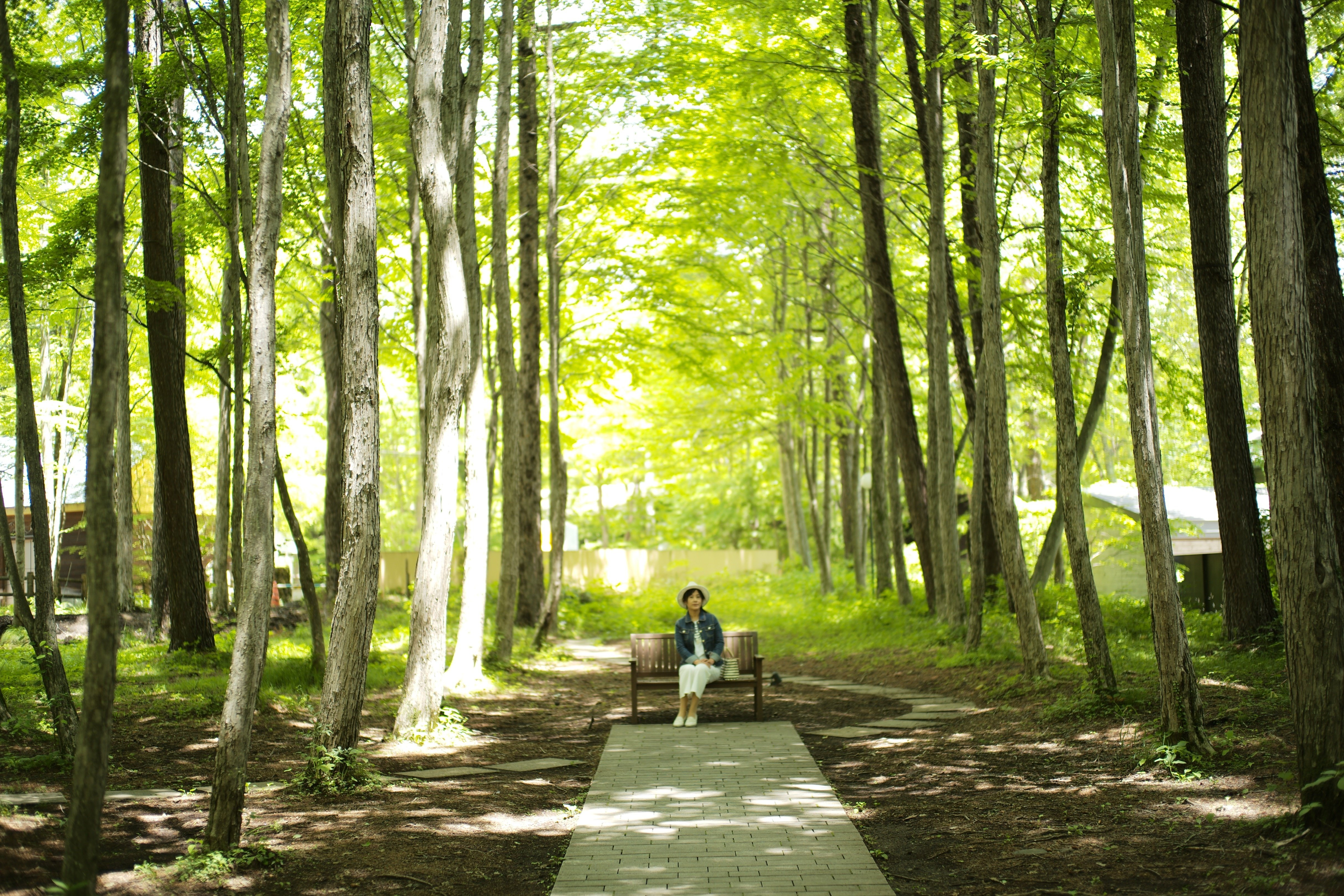 19新緑の軽井沢 Tnaonaolynne Note